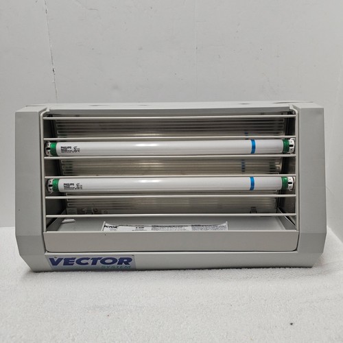 Vector classic fly - fly, trap